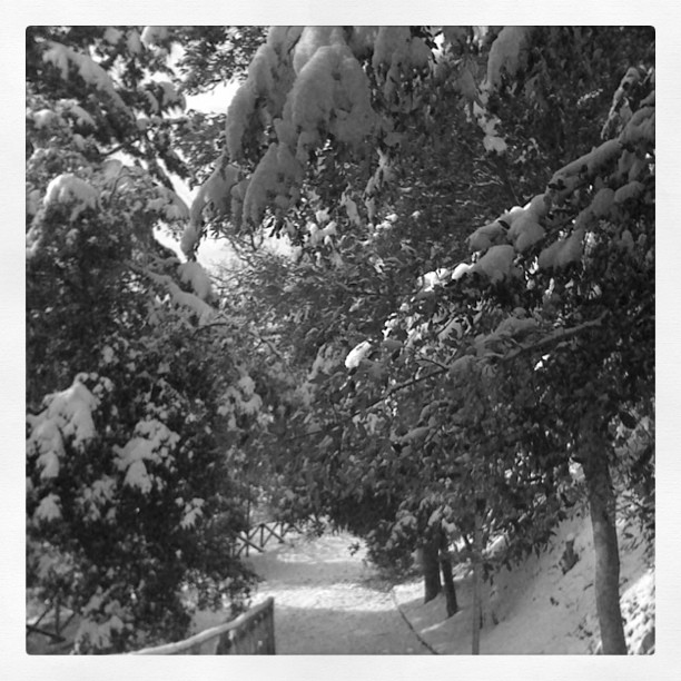 Narnia dietro l'angolo... 4 narnia4