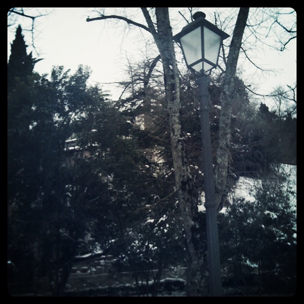 narnia6