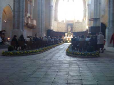 fortunato2