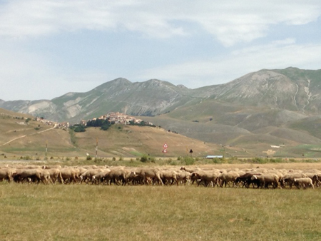 castelluccio5
