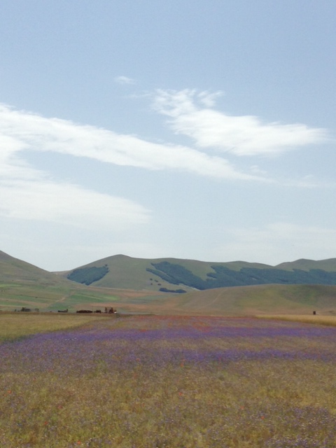 castelluccio9