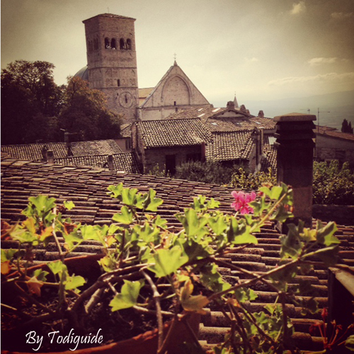 assisi san rufino