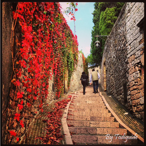 assisi